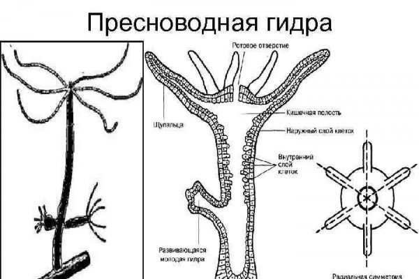 Кракен с айфона