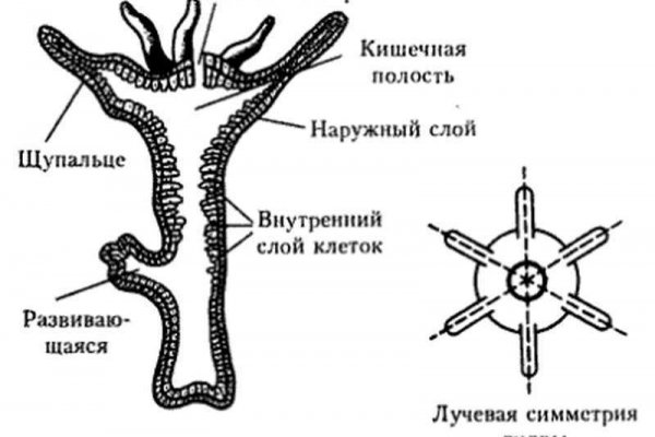 Kra41at
